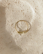 Twist of Light Ring