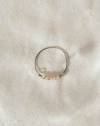 Twist of Light Ring