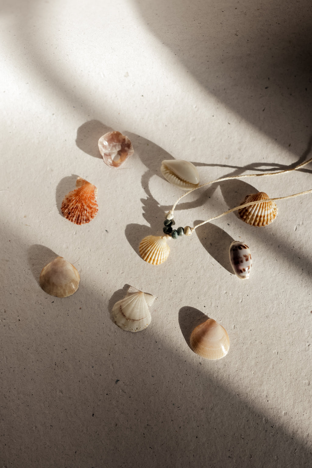 Shell necklace